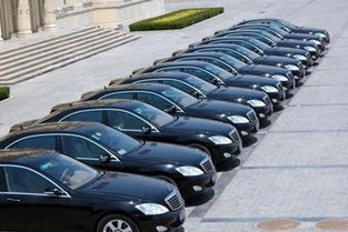 麗水市印發(fā)新能源汽車推廣計劃 2016年目標(biāo)超900輛，廣州汽車租賃行業(yè)積極響應(yīng)